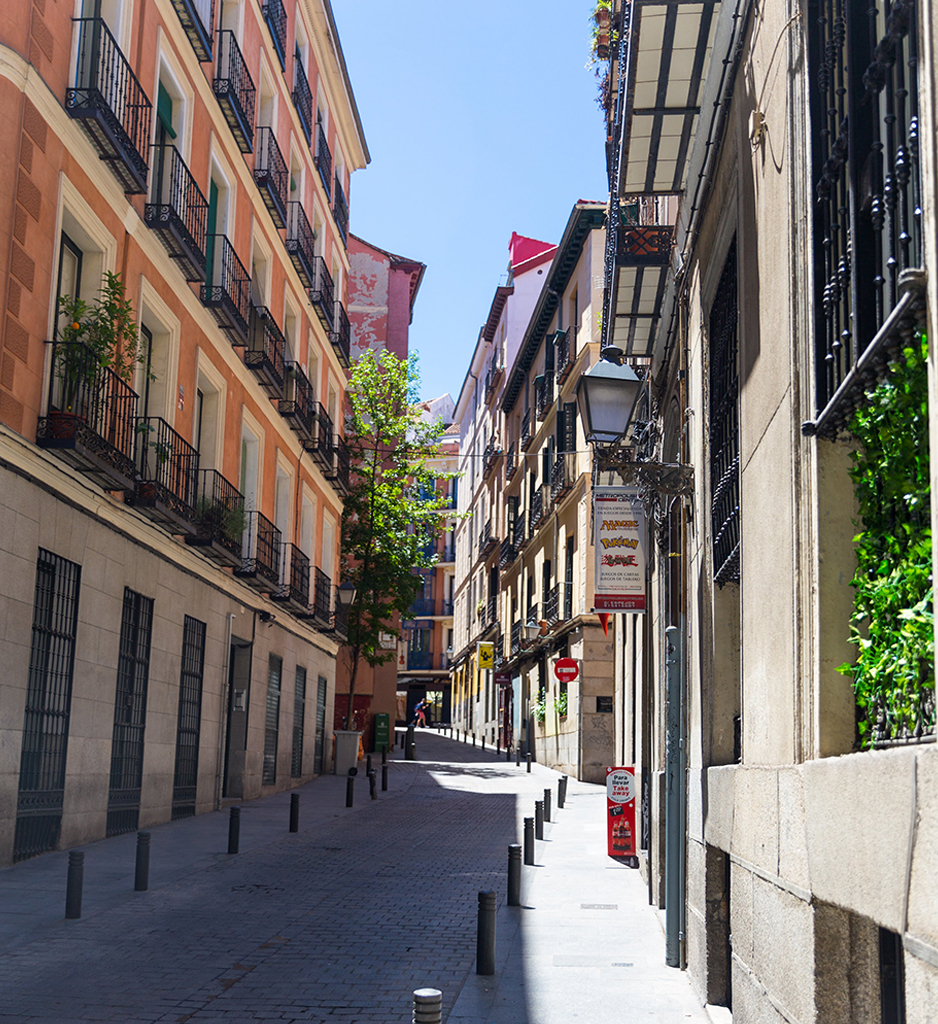 Proyecto Latina Flats